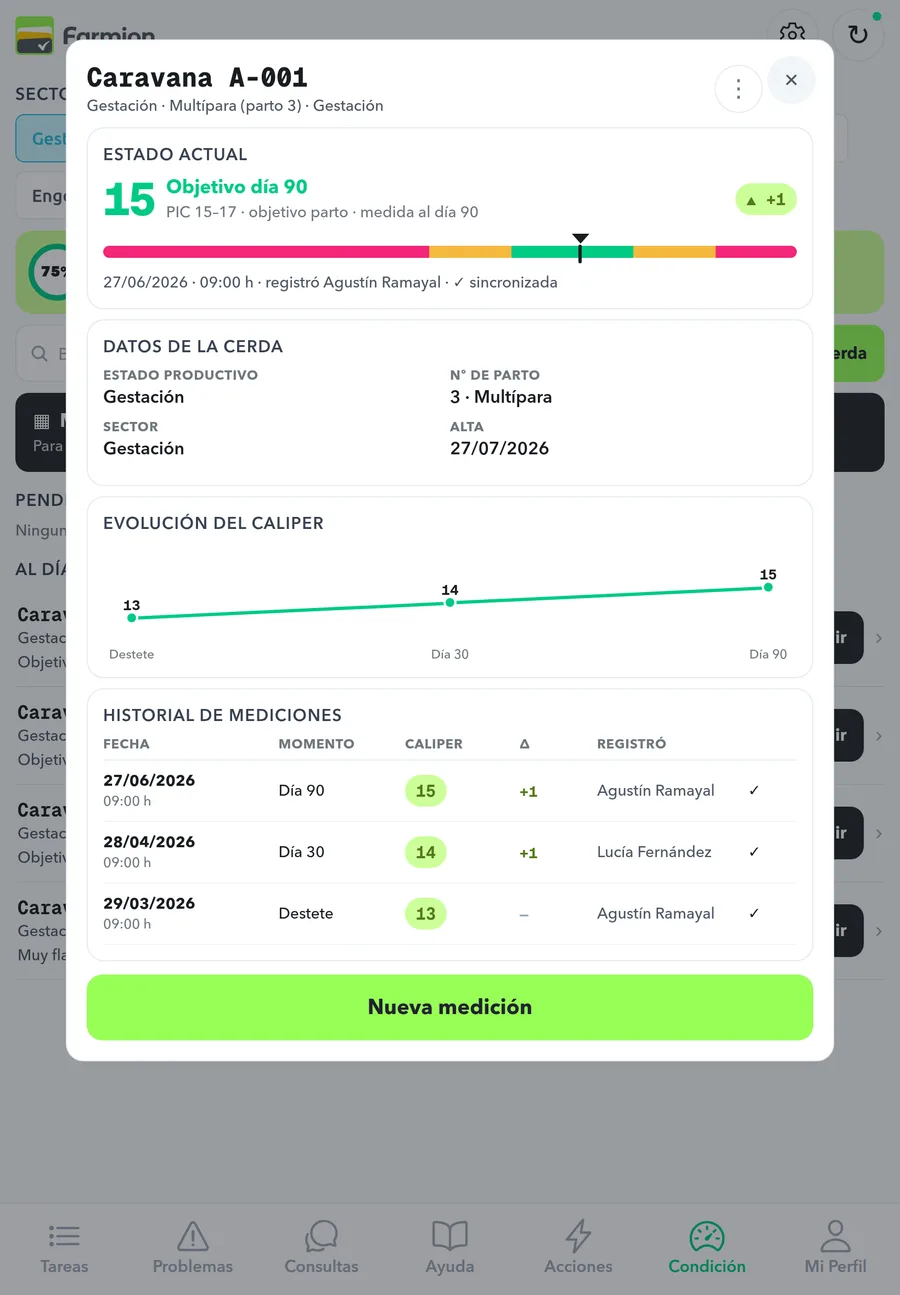 Tablet del encargado: ficha de la cerda con estado actual, evolución del caliper e historial de mediciones